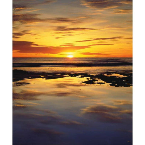 California, San Diego, Sunset Cliffs tide pools Black Modern Wood Framed Art Print by Talbot Frank, Christopher