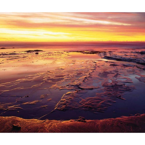California, San Diego, Sunset Cliffs tide pools Black Modern Wood Framed Art Print by Talbot Frank, Christopher