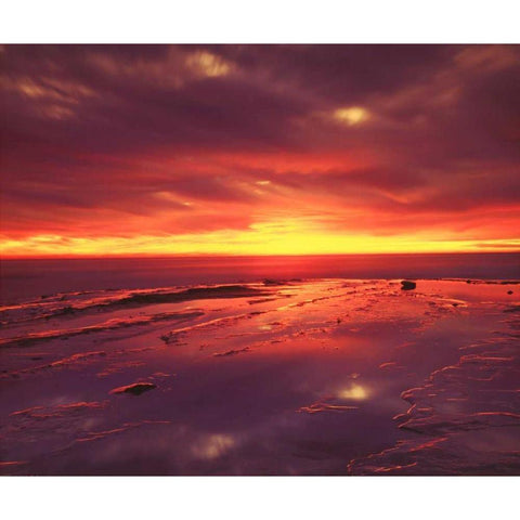CA, San Diego, Sunset Cliffs tide pools at Sunset Black Modern Wood Framed Art Print by Talbot Frank, Christopher