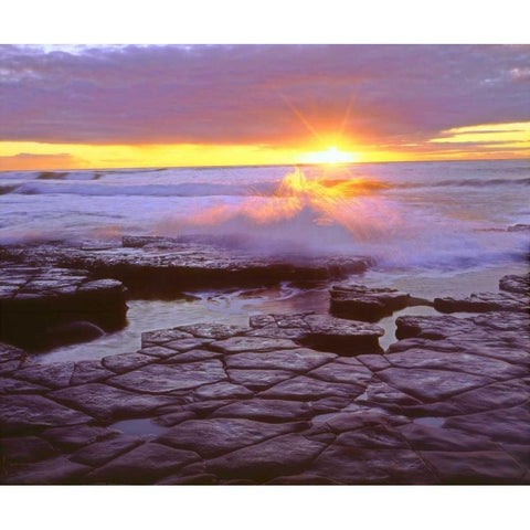 CA, San Diego, Sunset Cliffs tide pools at Sunset Gold Ornate Wood Framed Art Print with Double Matting by Talbot Frank, Christopher