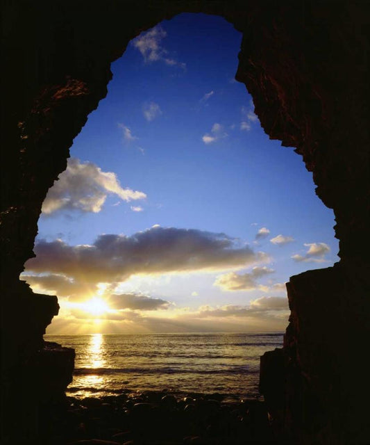 Image Only