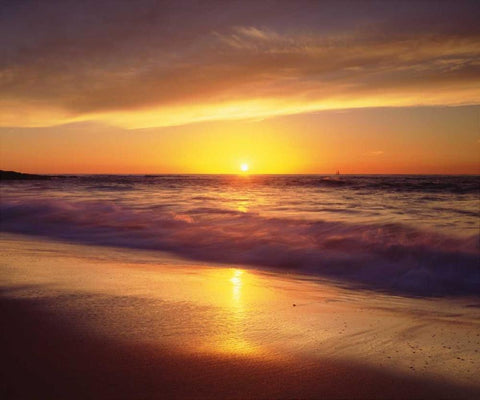 CA, La Jolla Shores Beach at sunset White Modern Wood Framed Art Print with Double Matting by Talbot Frank, Christopher