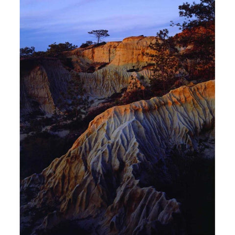 CA, San Diego Sandstone at Torrey Pines SP White Modern Wood Framed Art Print by Talbot Frank, Christopher