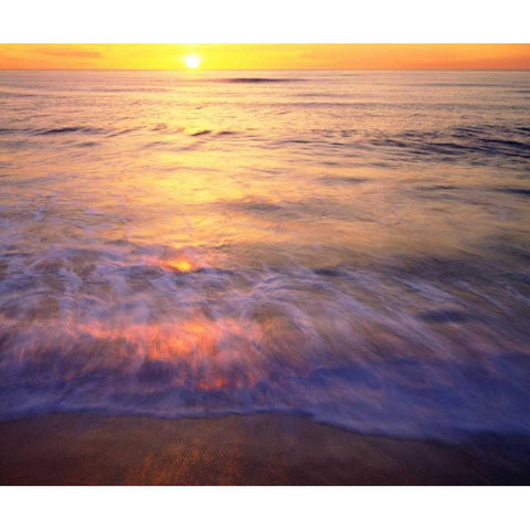 CA, San Diego Sunset Cliffs Beach at Sunset Gold Ornate Wood Framed Art Print with Double Matting by Talbot Frank, Christopher