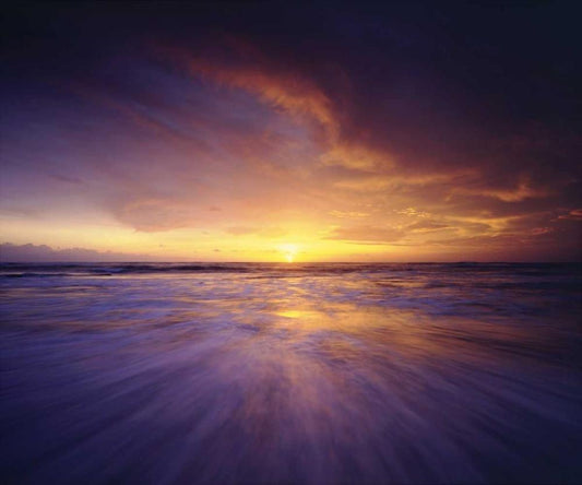 Image Only