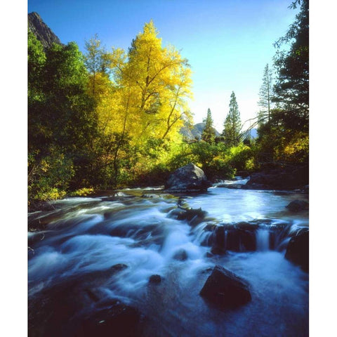 CA, Sierra Nevada, Autumn along a stream Black Modern Wood Framed Art Print by Talbot Frank, Christopher