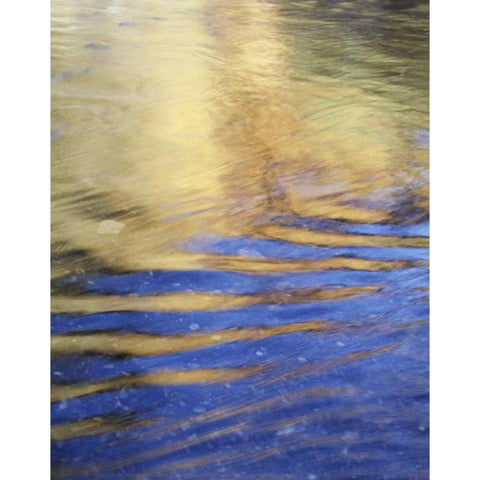 CA, Sierra Nevada, Autumn reflects in Rush Creek White Modern Wood Framed Art Print by Talbot Frank, Christopher