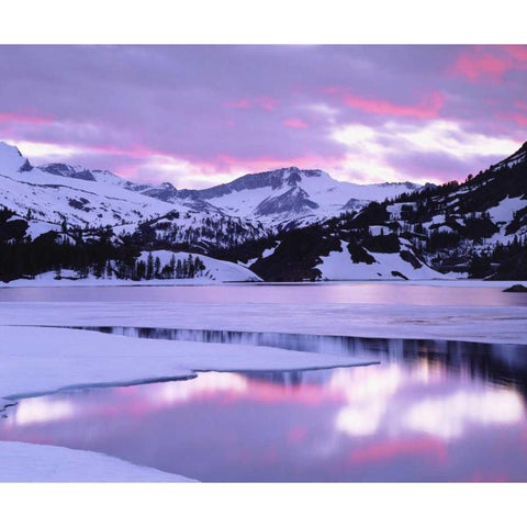 California, Sierra Nevada, Ellery Lake at Sunset, Black Modern Wood Framed Art Print by Talbot Frank, Christopher