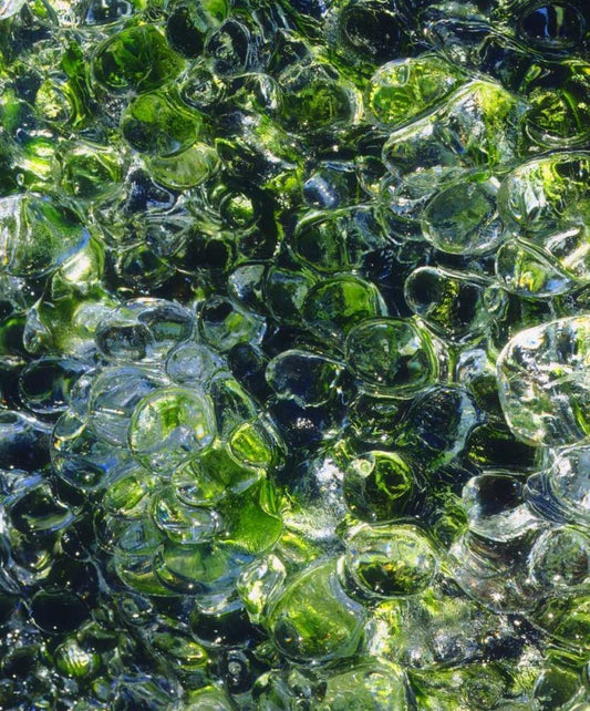 Image Only