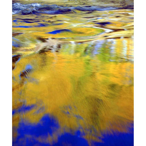 CA, Sierra Nevada, Autumn Forest Reflection Black Modern Wood Framed Art Print with Double Matting by Talbot Frank, Christopher