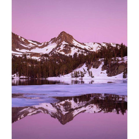 California, Sierra Nevada, Skelton Lake at dusk Black Modern Wood Framed Art Print by Talbot Frank, Christopher
