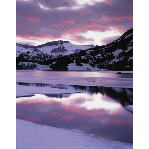 CA, Sierra Nevada Mts reflecting in Ellery Lake Black Modern Wood Framed Art Print by Talbot Frank, Christopher