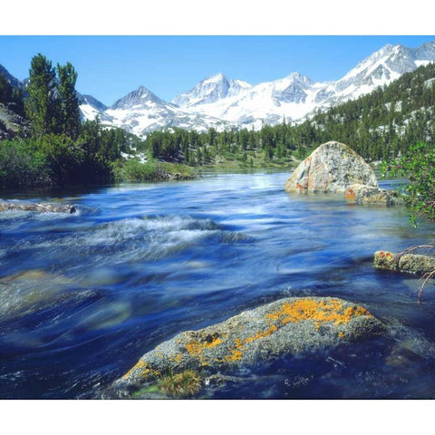 CA, Sierra Nevada Lichen covered rock in a creek Gold Ornate Wood Framed Art Print with Double Matting by Talbot Frank, Christopher