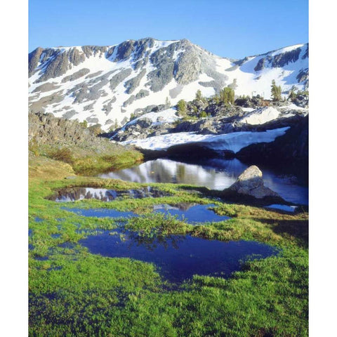 California, Sierra Nevada Mountain tarn Black Modern Wood Framed Art Print by Talbot Frank, Christopher