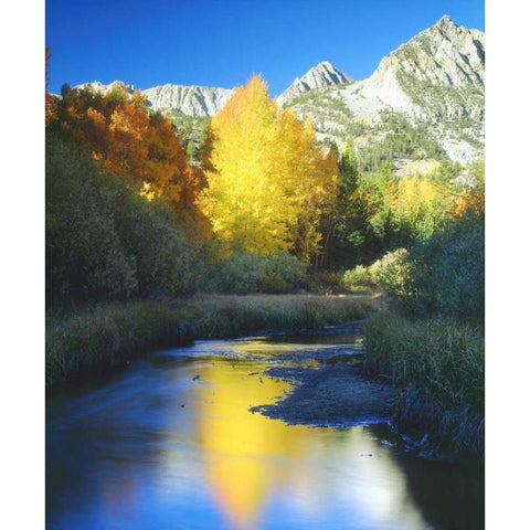 CA, Sierra Nevada Autumn along Bishop Creek Black Modern Wood Framed Art Print by Talbot Frank, Christopher