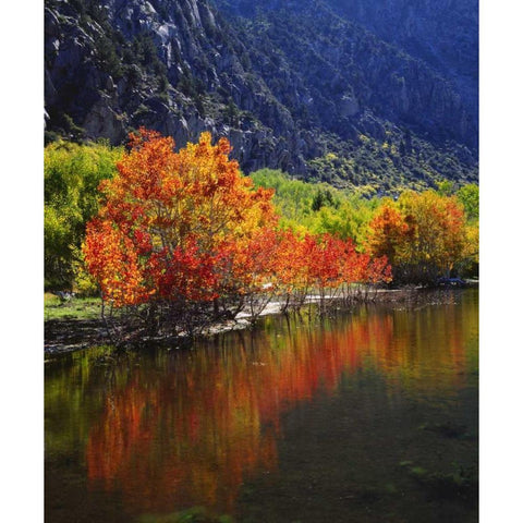 California, Autumn in the Sierra Nevada Mts Gold Ornate Wood Framed Art Print with Double Matting by Talbot Frank, Christopher