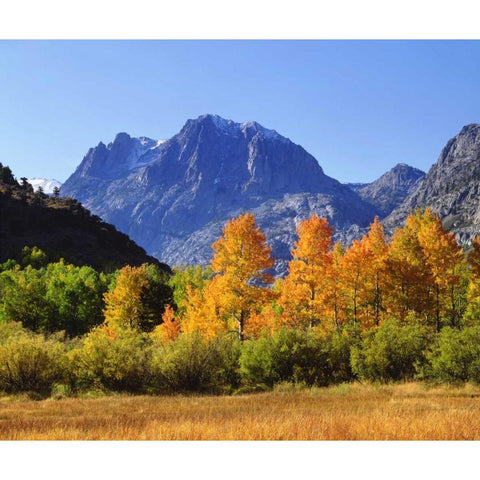 California, Autumn in the Sierra Nevada Mts White Modern Wood Framed Art Print by Talbot Frank, Christopher