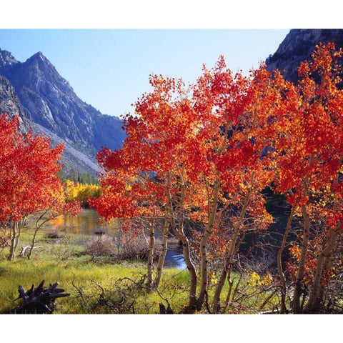 CA, Sierra Nevada Autumn in the Sierras Gold Ornate Wood Framed Art Print with Double Matting by Talbot Frank, Christopher