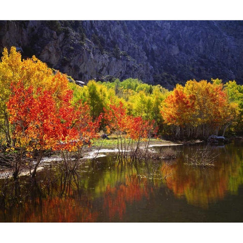 California, Sierra Nevada Autumn in the Sierras Black Modern Wood Framed Art Print by Talbot Frank, Christopher