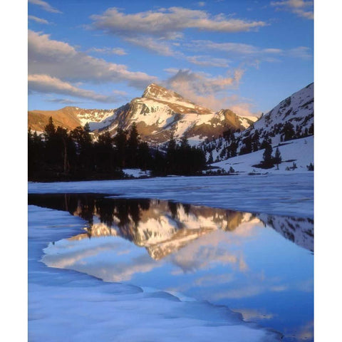CA, Sierra Nevada Dana Peak above a frozen lake Black Modern Wood Framed Art Print by Talbot Frank, Christopher