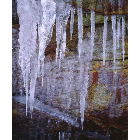 California, Sierra Nevada Icicles in the Sierra Black Modern Wood Framed Art Print by Talbot Frank, Christopher