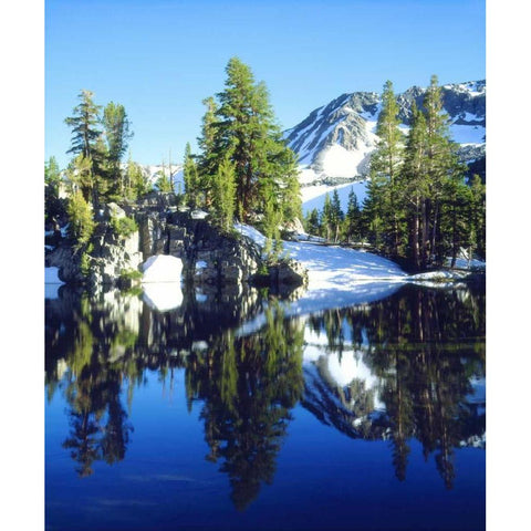 CA, Sierra Nevada Red firs reflecting in a tarn Gold Ornate Wood Framed Art Print with Double Matting by Talbot Frank, Christopher