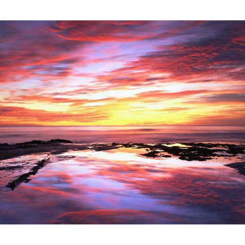CA, Tide pools at sunset at Sunset Cliffs Black Modern Wood Framed Art Print by Talbot Frank, Christopher