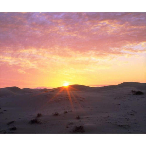 USA, California, Glamis Sand Dunes at Sunrise Black Modern Wood Framed Art Print by Talbot Frank, Christopher