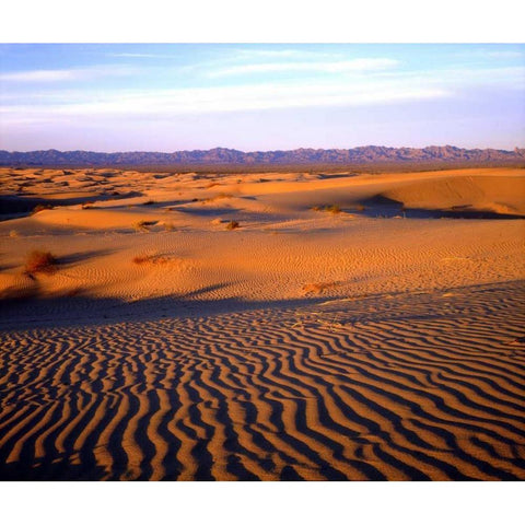 USA, California, Glamis Sand Dunes at Sunset Black Modern Wood Framed Art Print by Talbot Frank, Christopher