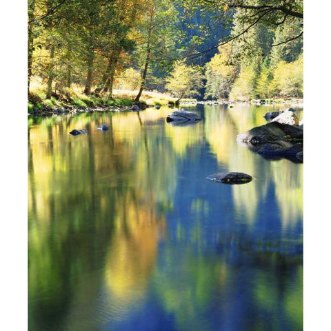 CA, Yosemite Autumn around the Merced River Black Modern Wood Framed Art Print by Talbot Frank, Christopher