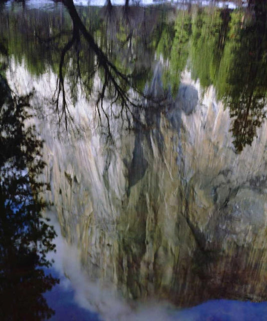 Image Only