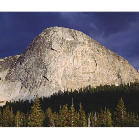 CA, Yosemite Fairview Dome in Tuolumne Meadows Black Modern Wood Framed Art Print by Talbot Frank, Christopher
