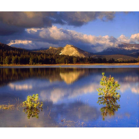CA, Yosemite Lembert Dome and Tuolumne River Black Modern Wood Framed Art Print with Double Matting by Talbot Frank, Christopher