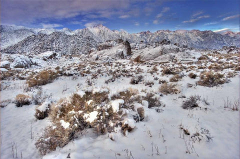 CA, Sierra Mts, Alabama Hills snowy landscape Black Ornate Wood Framed Art Print with Double Matting by Welling, Dave