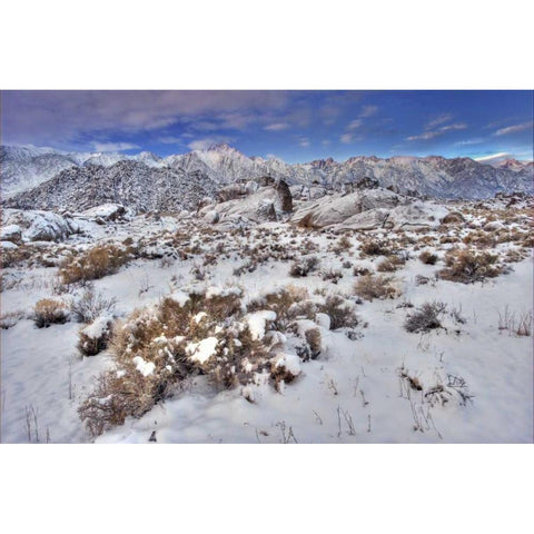 CA, Sierra Mts, Alabama Hills snowy landscape Black Modern Wood Framed Art Print by Welling, Dave