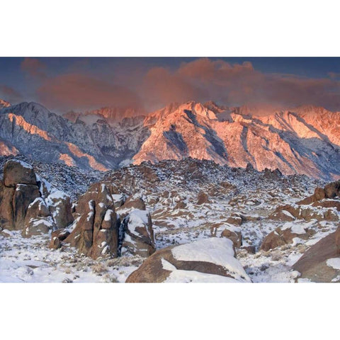 CA, Eastern Sierras Sunlight on winter landscape White Modern Wood Framed Art Print by Welling, Dave