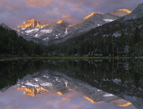 USA, California Marsh Lake at sunrise Black Ornate Wood Framed Art Print with Double Matting by Flaherty, Dennis