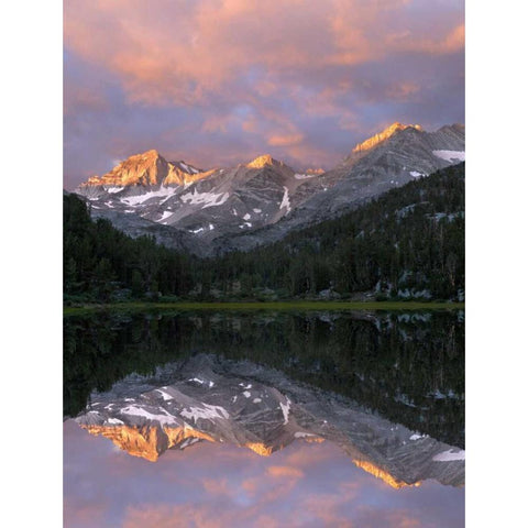 USA, California Marsh Lake at sunrise Gold Ornate Wood Framed Art Print with Double Matting by Flaherty, Dennis