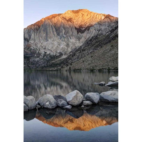 USA, California Convict Lake at sunrise White Modern Wood Framed Art Print by Flaherty, Dennis