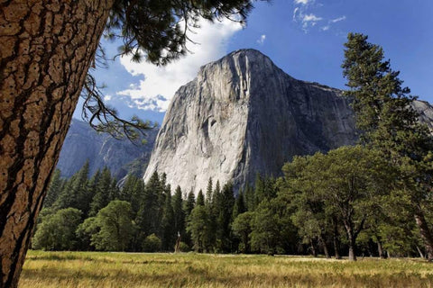 California, Yosemite View of El Capitan landmark White Modern Wood Framed Art Print with Double Matting by Flaherty, Dennis