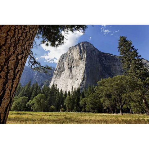 California, Yosemite View of El Capitan landmark White Modern Wood Framed Art Print by Flaherty, Dennis