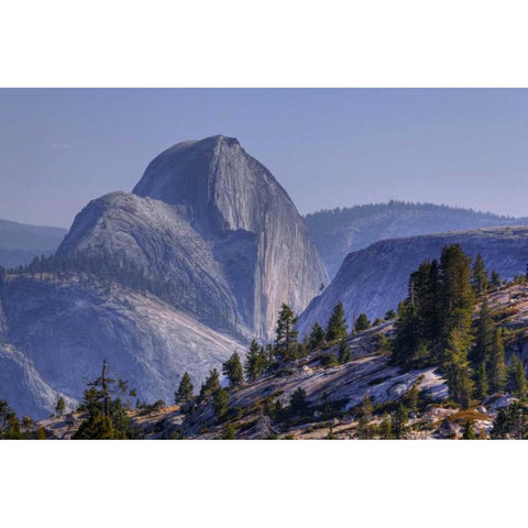 CA, Yosemite Half Dome seen from Olmsted Point Gold Ornate Wood Framed Art Print with Double Matting by Flaherty, Dennis