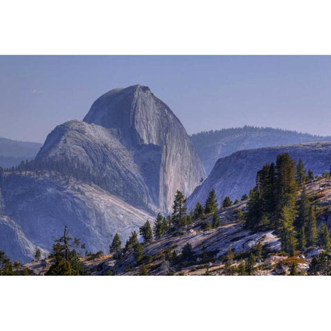 CA, Yosemite Half Dome seen from Olmsted Point Black Modern Wood Framed Art Print by Flaherty, Dennis