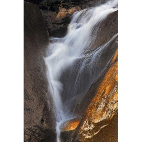 California, Yosemite Stream flowing over rocks White Modern Wood Framed Art Print by Flaherty, Dennis