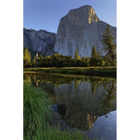 California, Yosemite El Capitan and Merced River Black Modern Wood Framed Art Print by Flaherty, Dennis