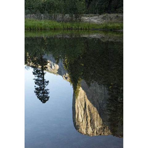 California, Yosemite El Capitan and Merced River Black Modern Wood Framed Art Print with Double Matting by Flaherty, Dennis