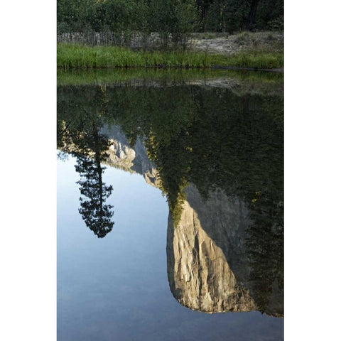 California, Yosemite El Capitan and Merced River White Modern Wood Framed Art Print by Flaherty, Dennis