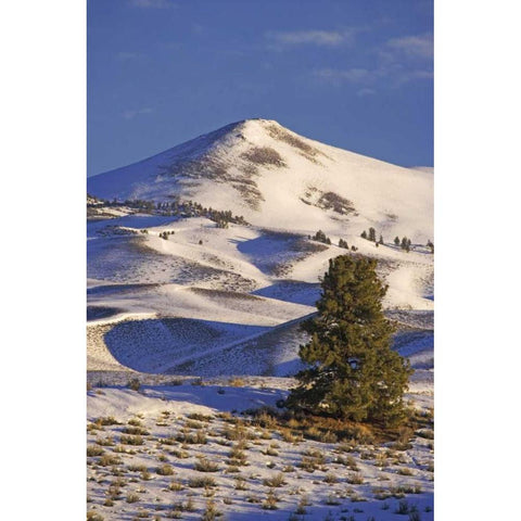 CA, Mammoth Lakes Landscape of Glass Mountain Gold Ornate Wood Framed Art Print with Double Matting by Flaherty, Dennis