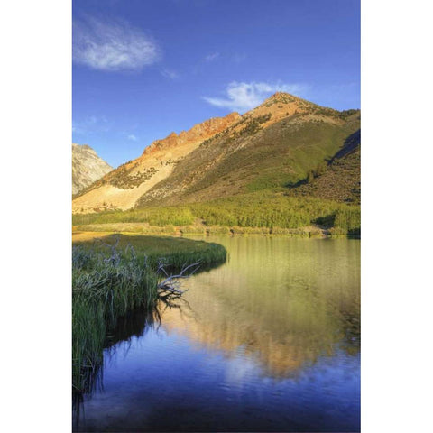 California, Bishop North Lake at sunrise White Modern Wood Framed Art Print by Flaherty, Dennis