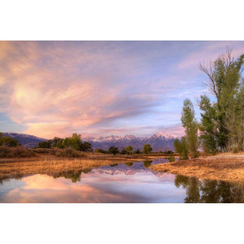 California, Bishop Sierra Mts from Farmers Pond Gold Ornate Wood Framed Art Print with Double Matting by Flaherty, Dennis